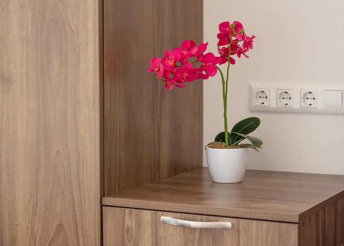 Vandrarhem - 24h Self-check-in