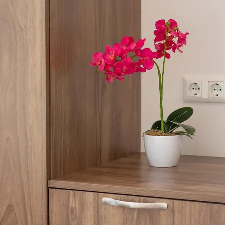 Hostal - 24h Self-check-in